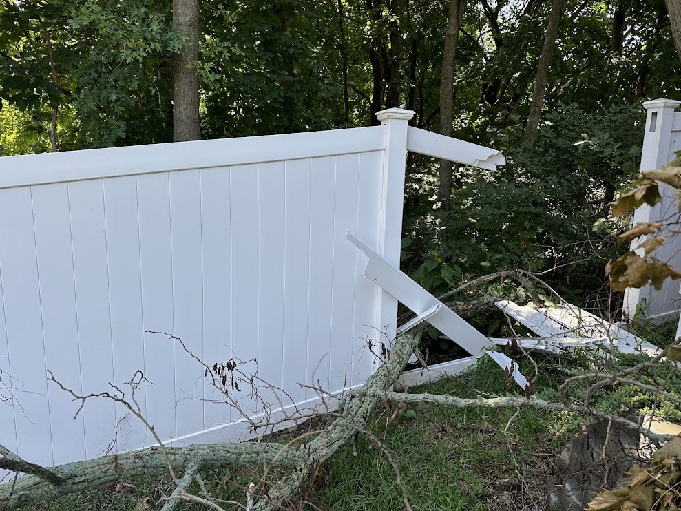 Dilapidated fence overgrown with weeds before replacement